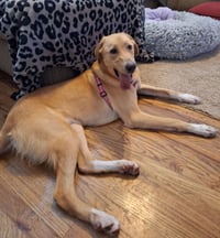 Crawforrd / Sassafras / Sassy - Photo 3