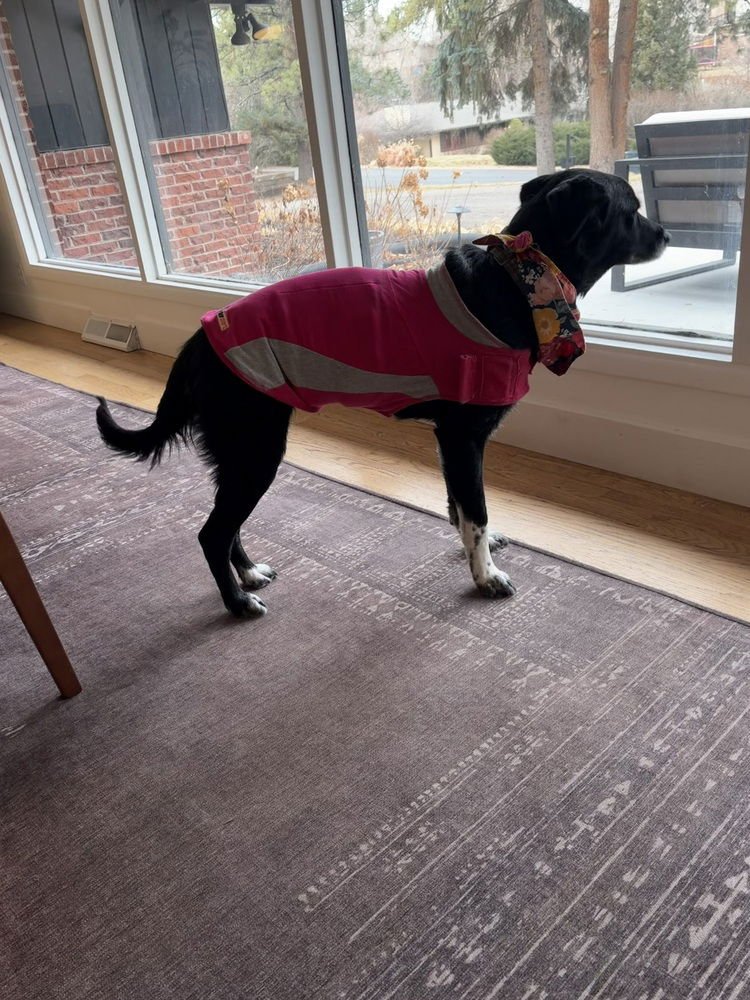 Alquist / Oreo - Photo 4