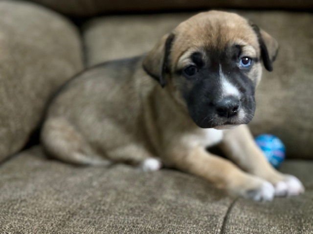 Babchuke / Indiana - Photo 3