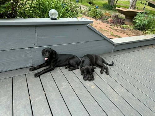 COOPERSTROMS / EMMIE