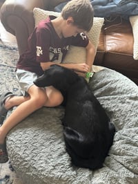 Camazzola / Mama Blossom - Photo 4