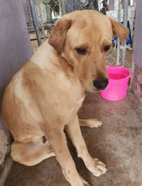 Colaiacovo / Rango - Photo 3