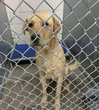 Colaiacovo / Rango - Photo 4