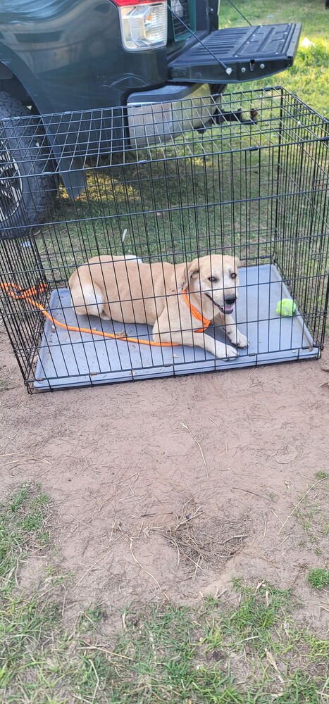 Cattone / Mama Juniper - Photo 3