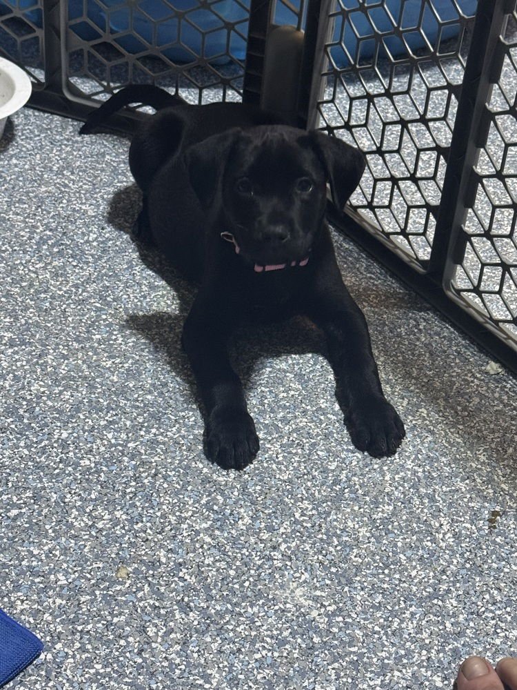 Carse / Wendy - Photo 3