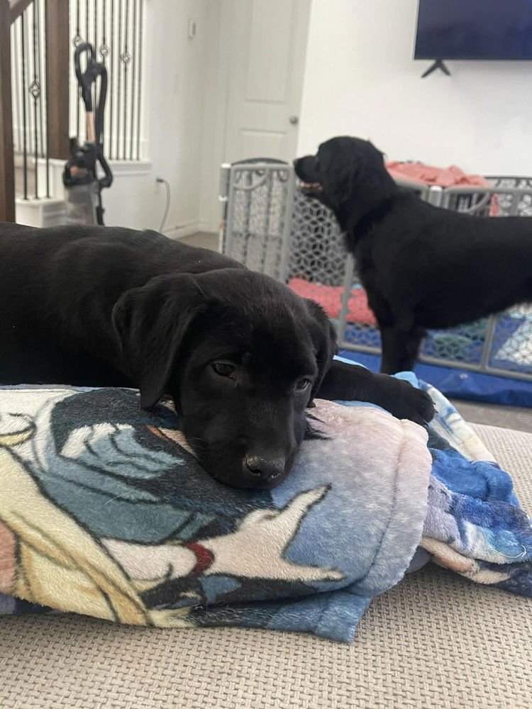 Carse / Wendy - Photo 4