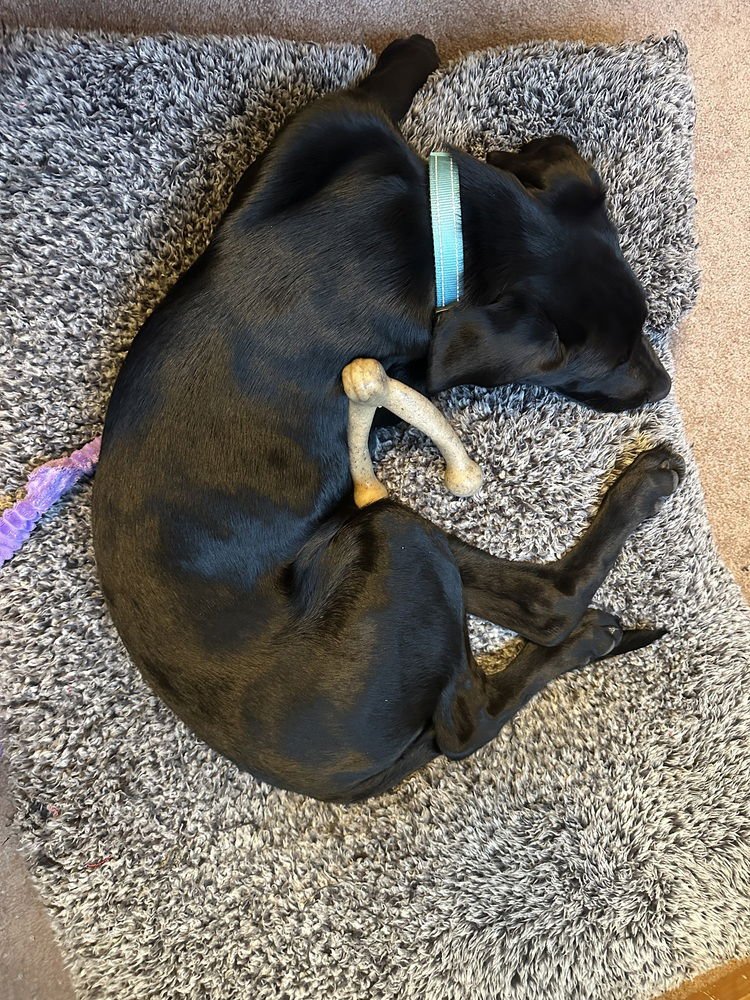 Balinskis / Marsh (Marshmallow) - Photo 3