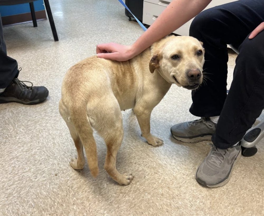 Cochrane / Ladybird - Photo 2