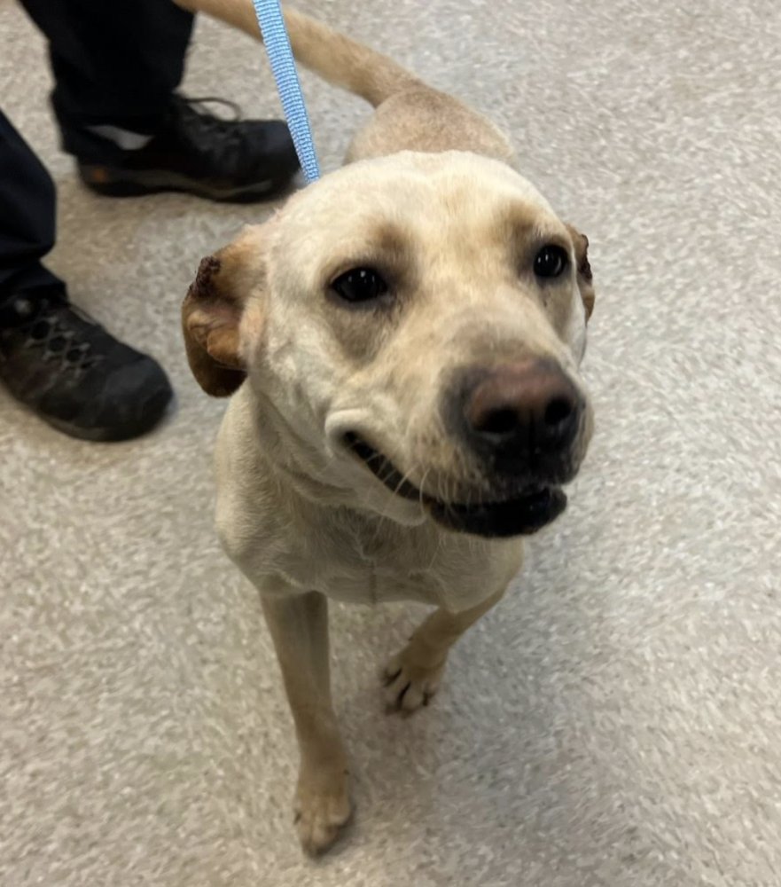 Cochrane / Ladybird - Photo 3