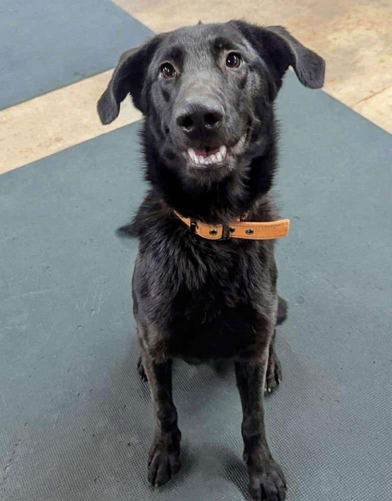 Beisler / Dayton - Photo 3