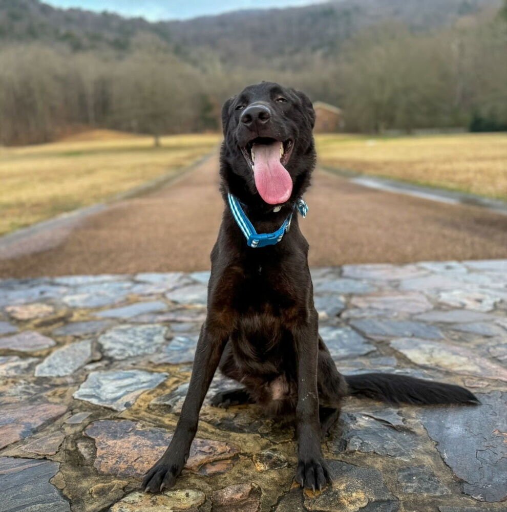 Beisler / Dayton - Photo 4