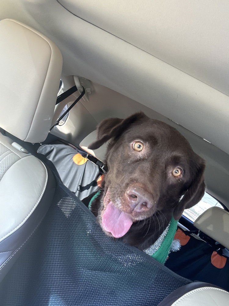 Boisvert / Mama Charlie - Photo 4