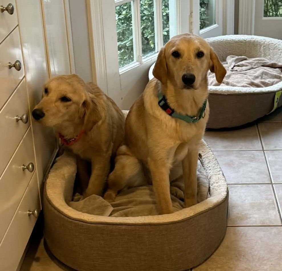 Beaupre / Daisy - Photo 3