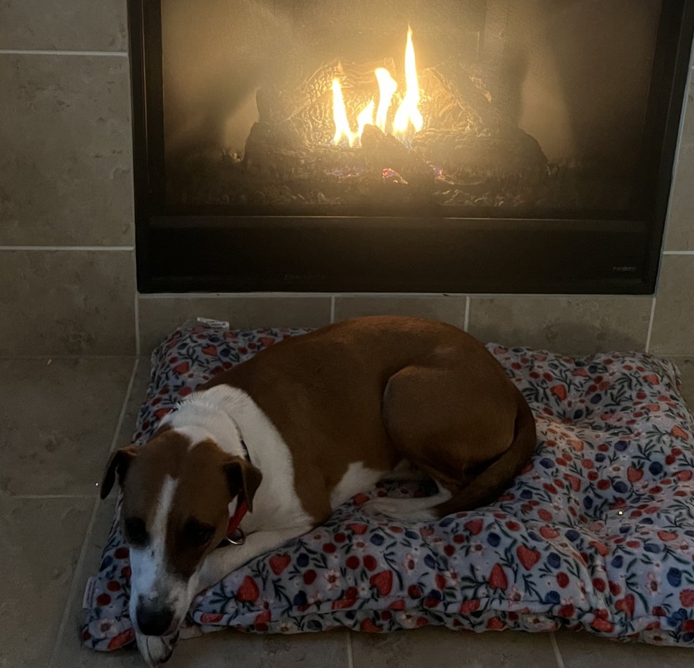 Aho / Betsy - Photo 3