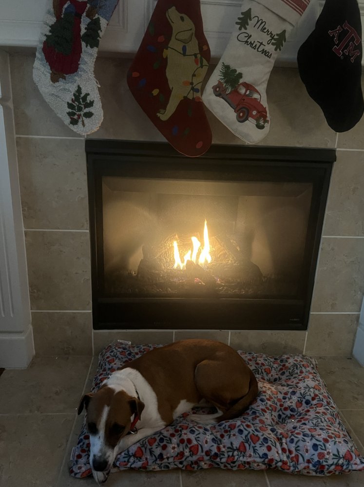 Aho / Betsy - Photo 4