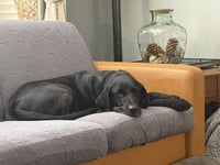 Daoust / Sadie - Photo 1