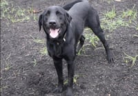 Cousinsee / Betty - Photo 1