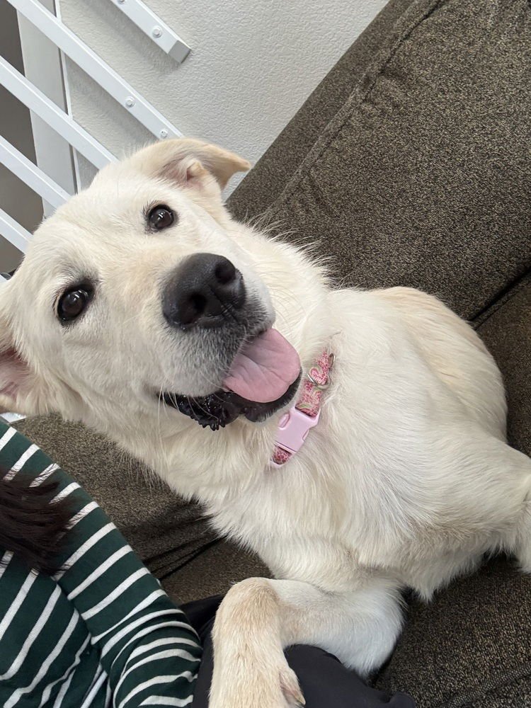 Abigralli / Winter - Photo 3