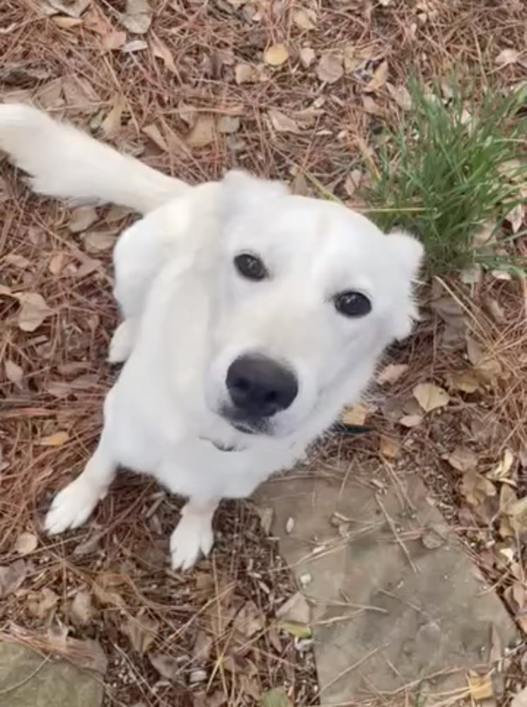 Abigralli / Winter - Photo 4