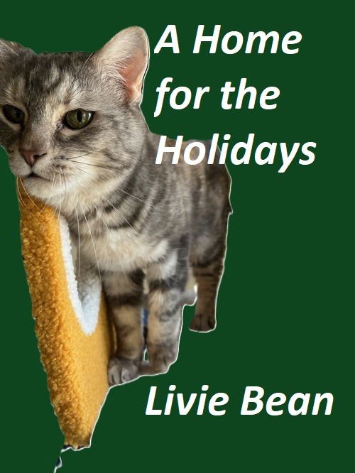 LIVIE BEAN - Domestic Short Hair available for adoption