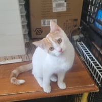 Vivi & Tormund - Photo 3