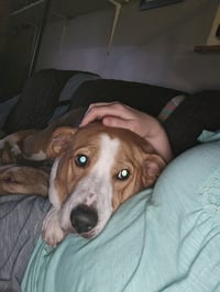 Abbey Mae - Photo 5