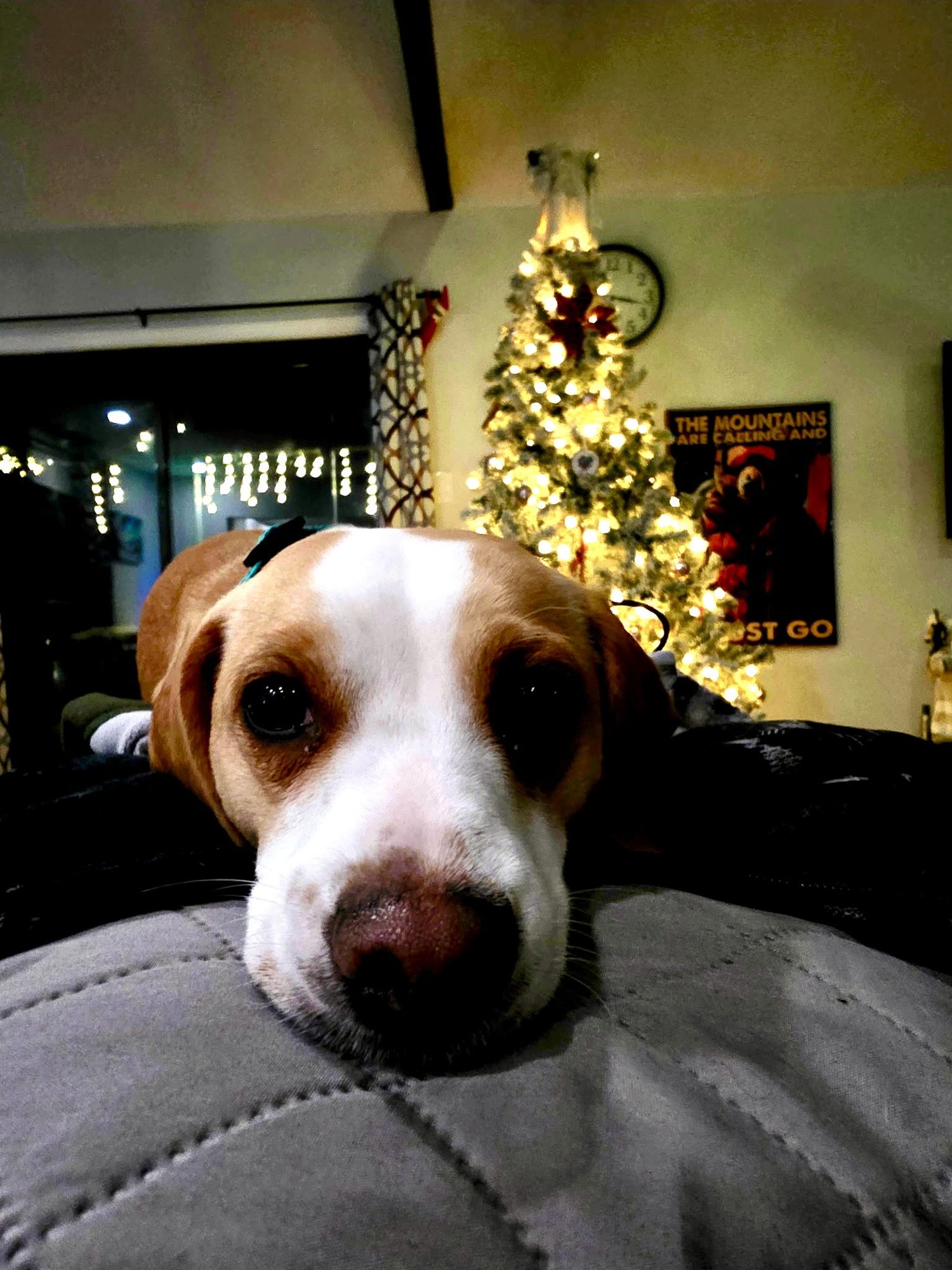 Milli Vanilli - Photo 3