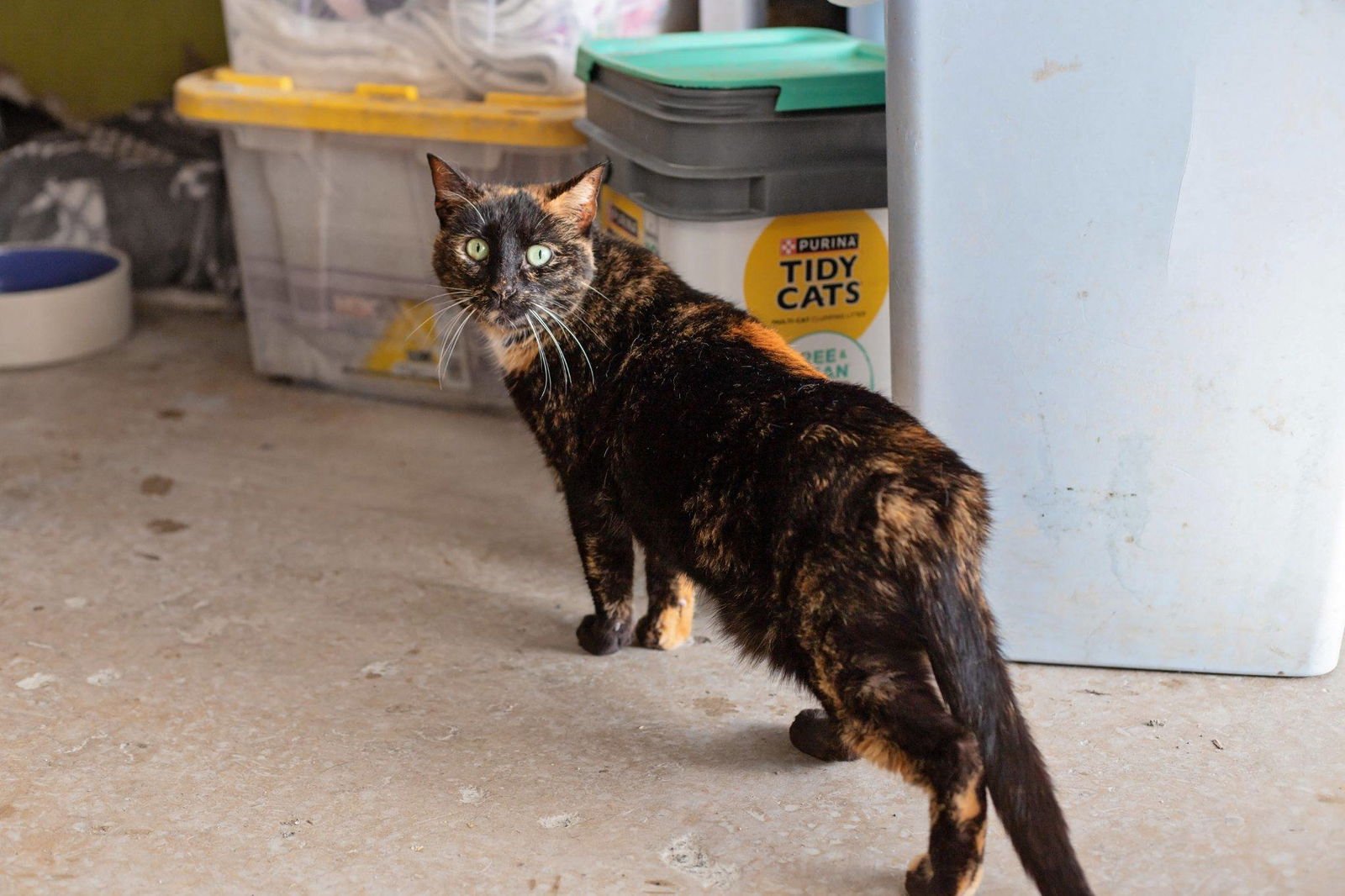 Sonia & Cookie - Photo 3