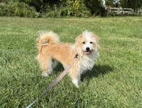 Sofie - Photo 2