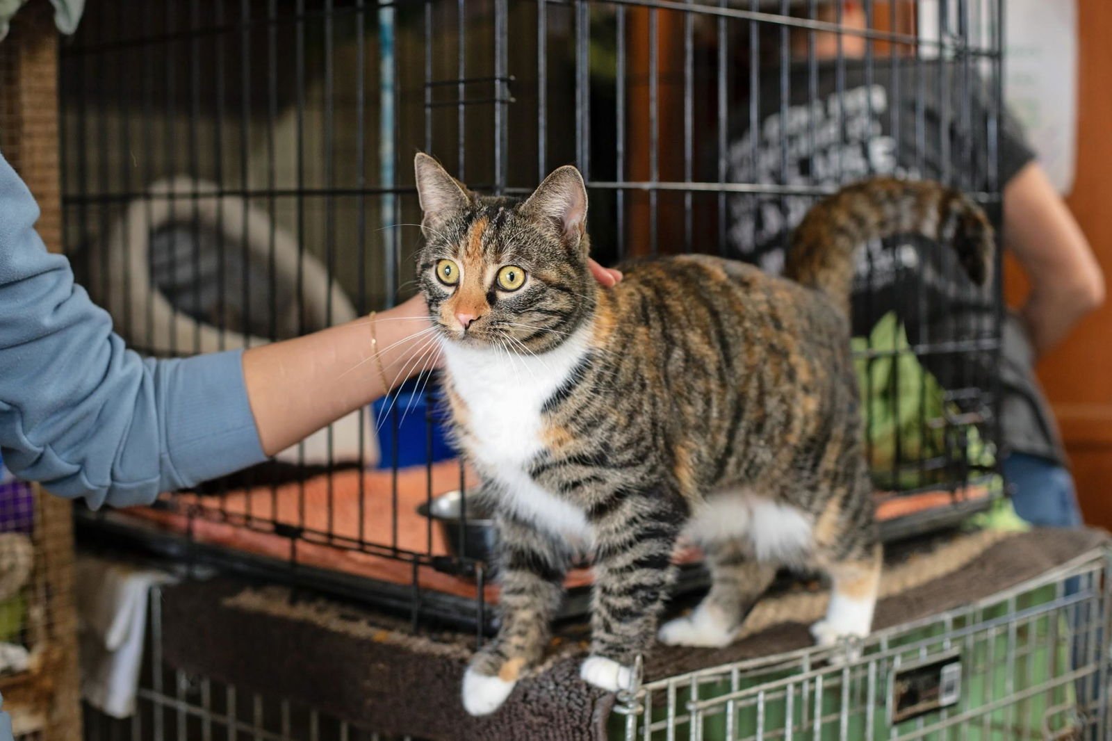 Christi Anna - Photo 3