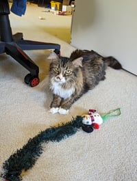 IZZY - Photo 4