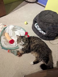 IZZY - Photo 6