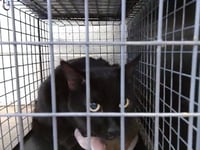 SKIPPY - Photo 1