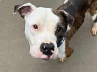 ZIGGY - Photo 1