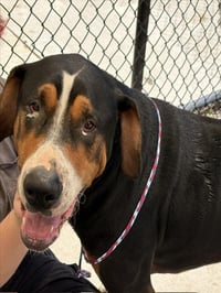 ABNER - Photo 1