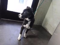 COOL WHIP - Photo 1
