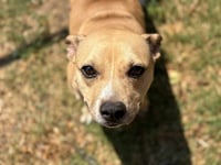 CORA - Photo 1