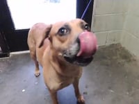 NOLA - Photo 1