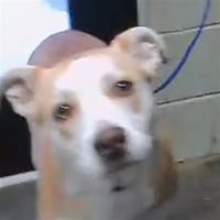 DARLA - Photo 1