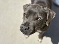 PENNY - Photo 1