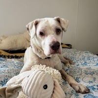MEMAW STELLA - Photo 1