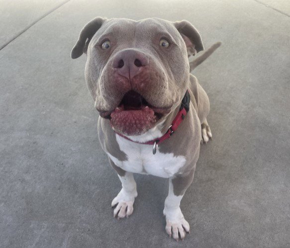 MUGSY Image