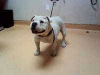 MOOMAW - Photo 1