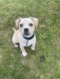 BUTTERS - Photo 1