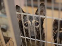 TIFFY - Photo 1