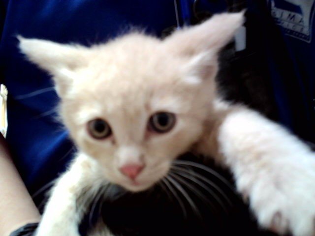 A1047998 Image
