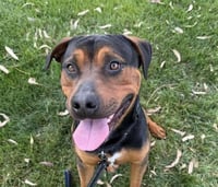 FRANK - Photo 1