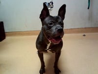 ETTA - Photo 1