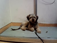 TOKI - Photo 1