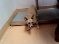 LUCYBEAN - Photo 1